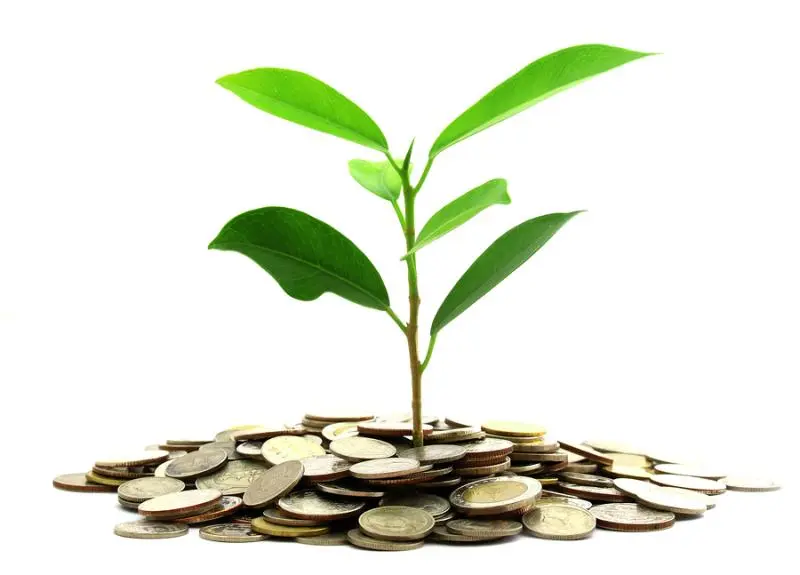 Инвестиции SKF в сохранение экологии | Свежие новости в Иванове