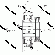Подшипник GRAE 25-NPP-B в Иванове